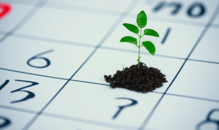 Dental Implant Recovery Timeline What to Expect How Long It Really Takes
